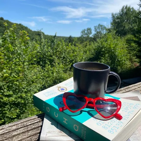 شاليه De Oranje Kabouter